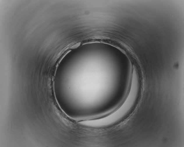 X0000112820881200908281528