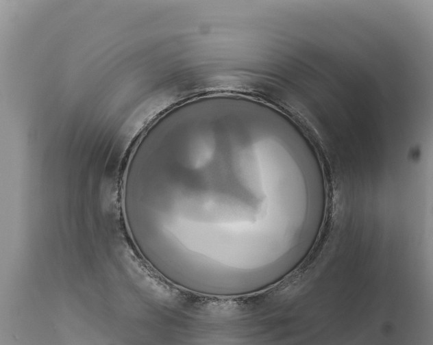 X0000112820882200908281528