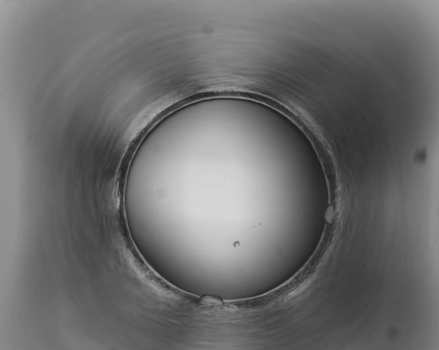 X0000112820885200908281528