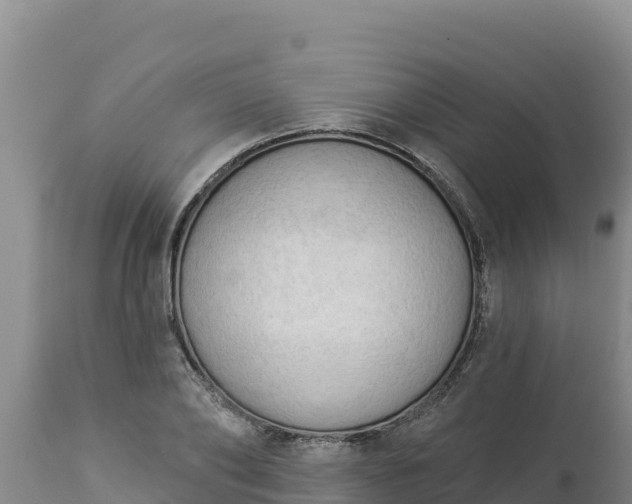 X0000112820886200908281528