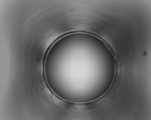 X0000112820888200908281528