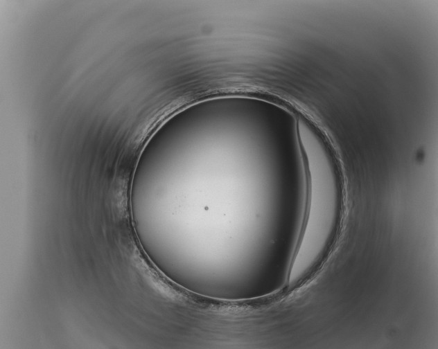 X0000112820889200908281528