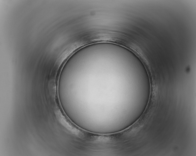 X0000112820890200908281528