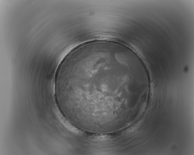 X0000112820891200908281528