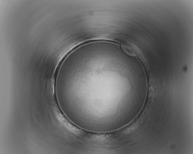 X0000112820892200908281528