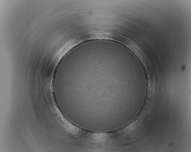 X0000112820893200908281528