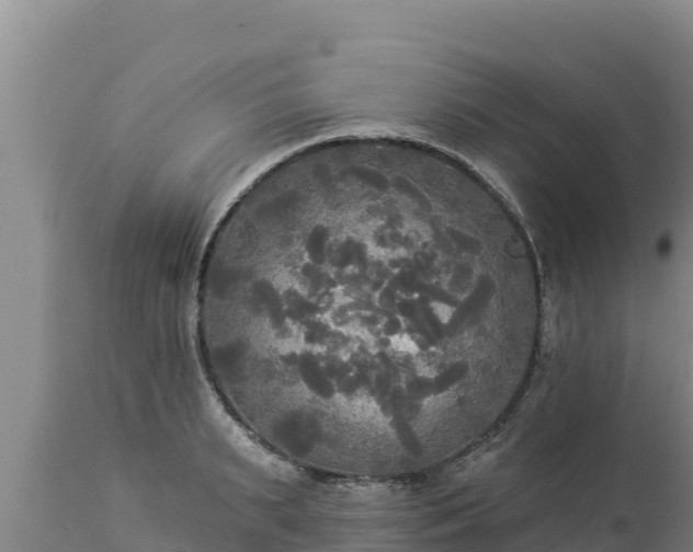 X0000112820895200908281528
