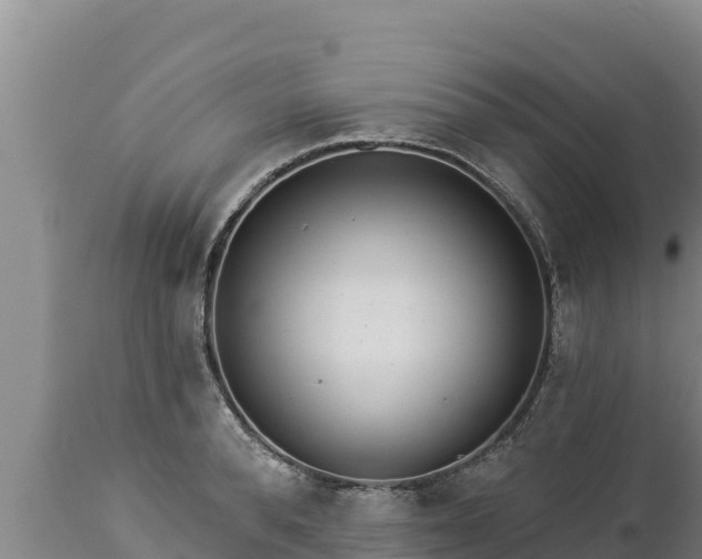 X0000112820896200908281528