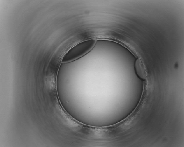 X0000112820897200908281528