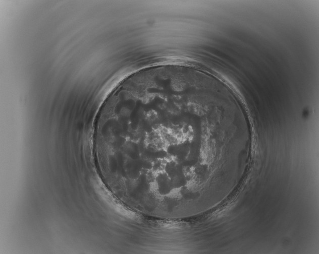 X0000112820899200908281528