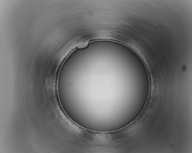 X0000112820901200908281528
