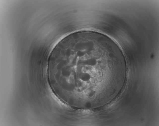 X0000112820903200908281528