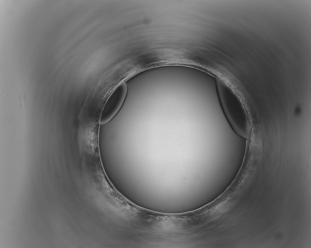 X0000112820905200908281528