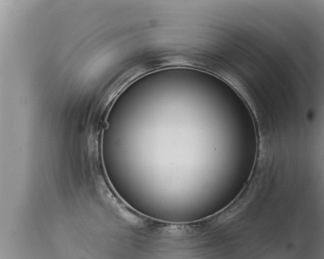 X0000112820906200908281528