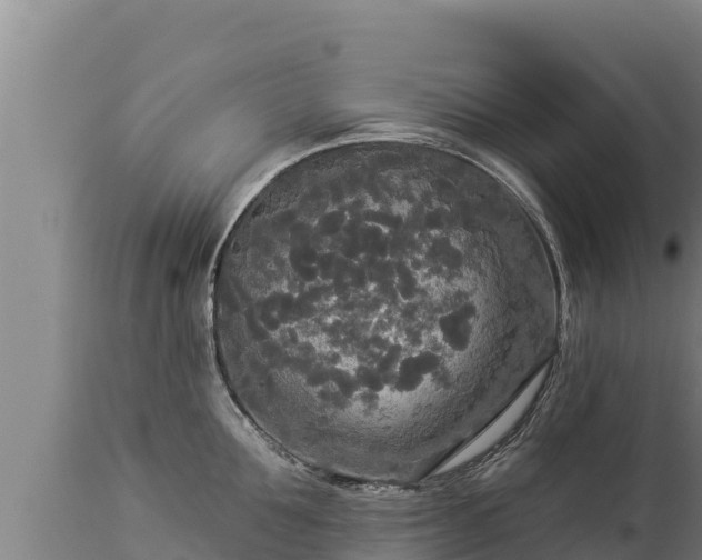 X0000112820907200908281528