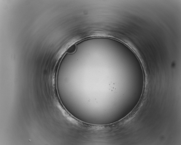 X0000112820909200908281528