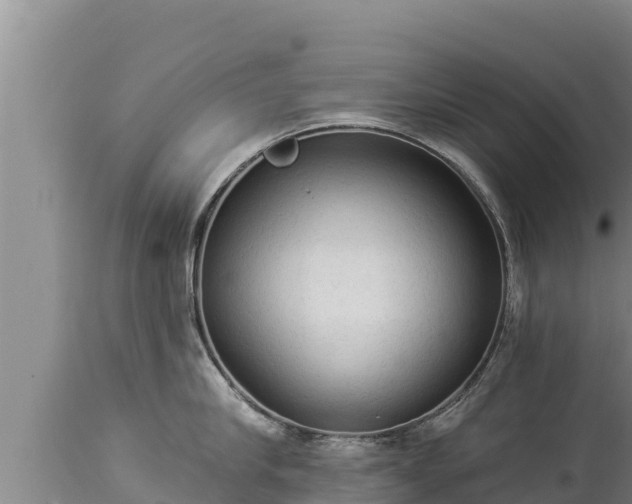 X0000112820910200908281528