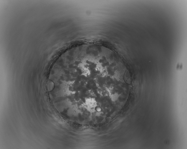 X0000112820913200908281527