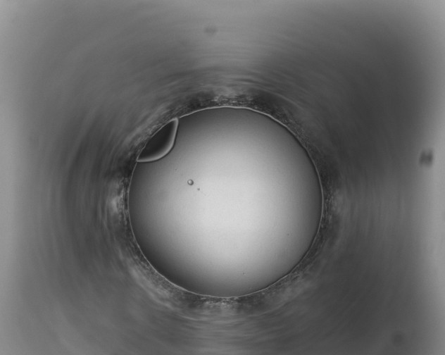 X0000112820914200908281527