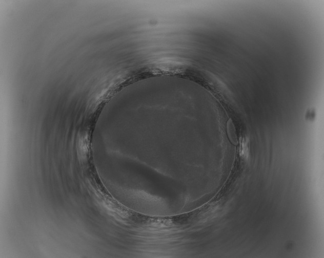 X0000112820915200908281527