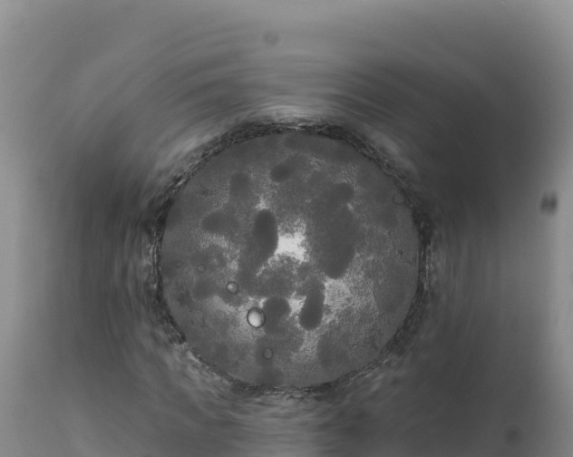 X0000112820917200908281527