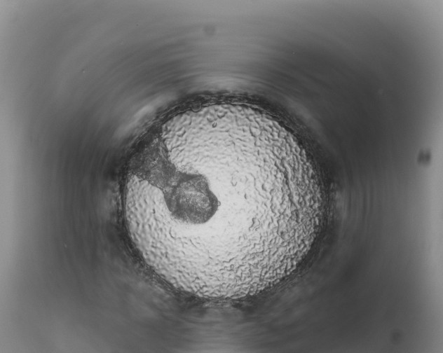 X0000112820918200908281527