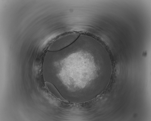 X0000112820920200908281527