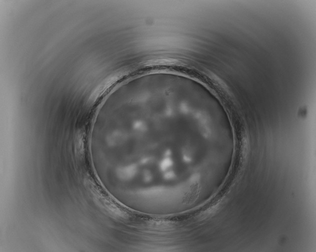 X0000112820921200908281527