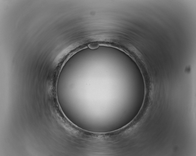 X0000112820922200908281527
