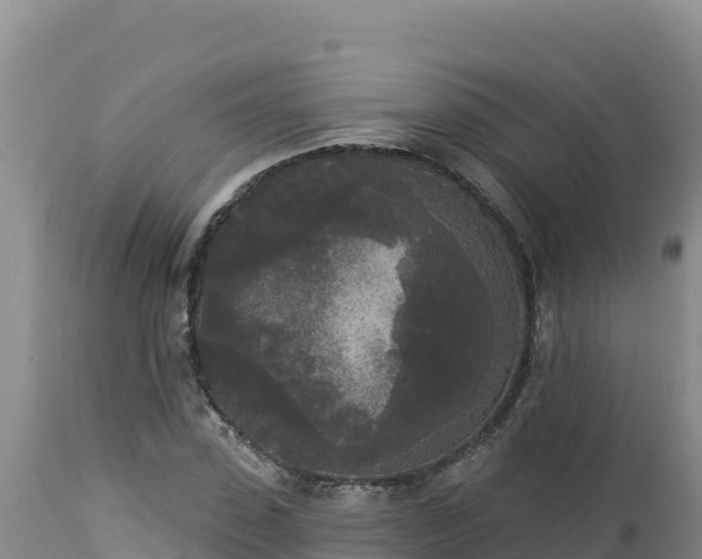 X0000112820923200908281527