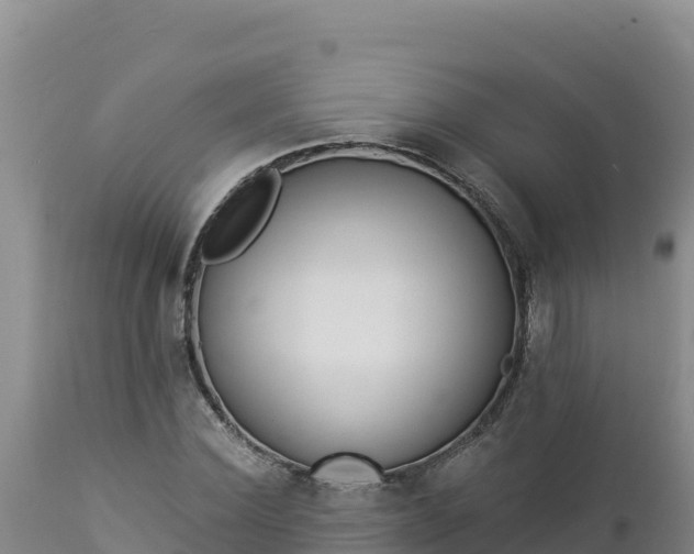 X0000112820924200908281527