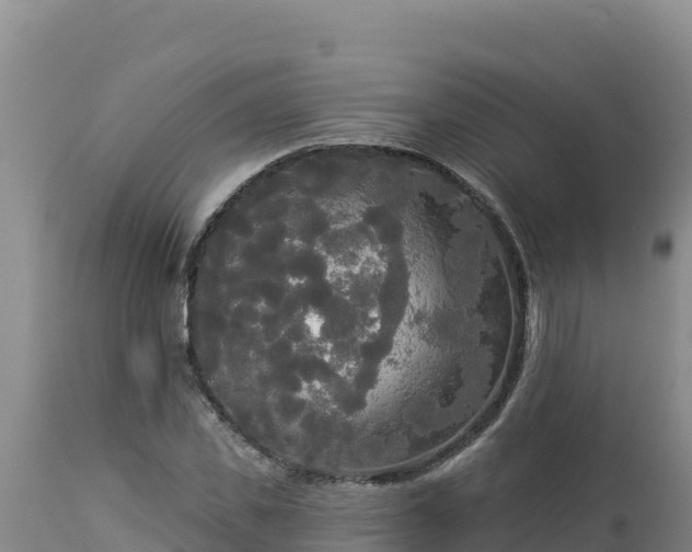 X0000112820925200908281527