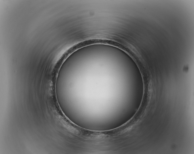 X0000112820926200908281527