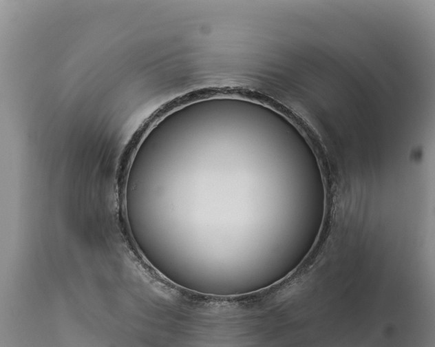 X0000112820927200908281527
