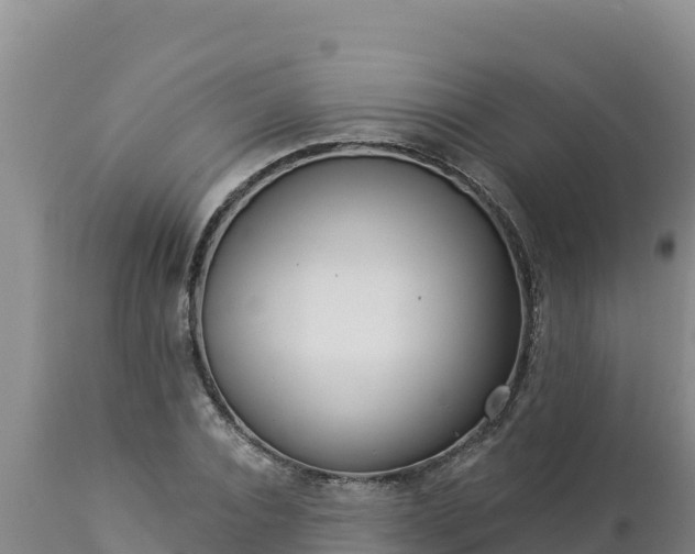 X0000112820928200908281527