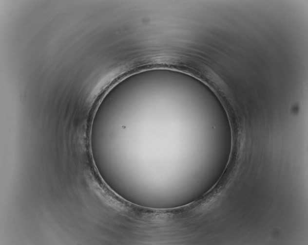 X0000112820930200908281527
