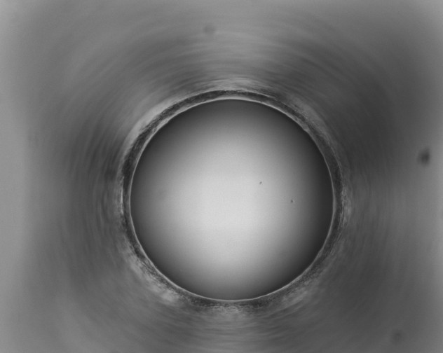 X0000112820931200908281527