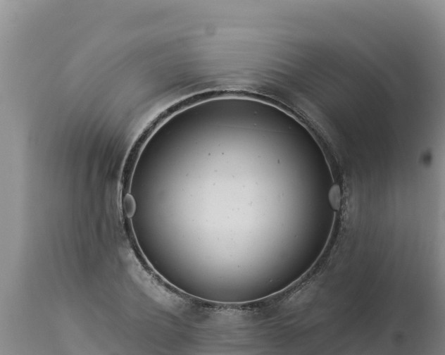 X0000112820932200908281527