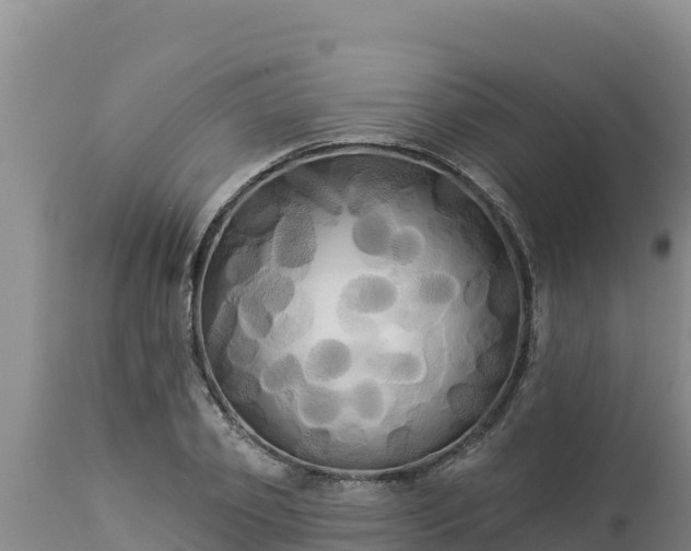 X0000112820933200908281527