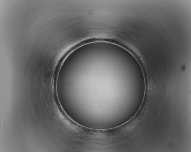 X0000112820935200908281527