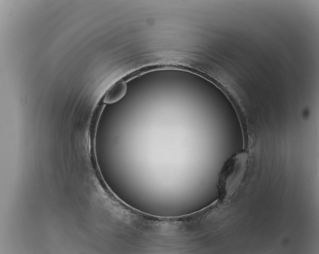 X0000112820936200908281527