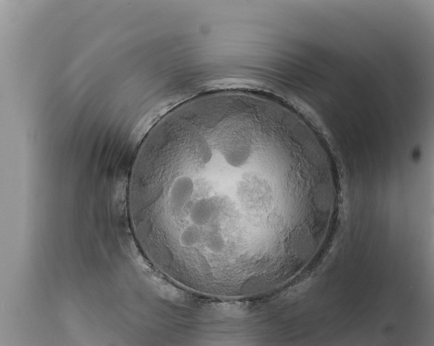 X0000112820937200908281527
