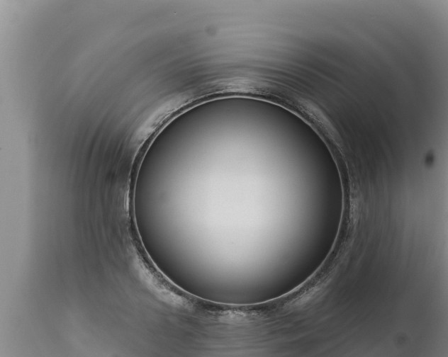 X0000112820938200908281527