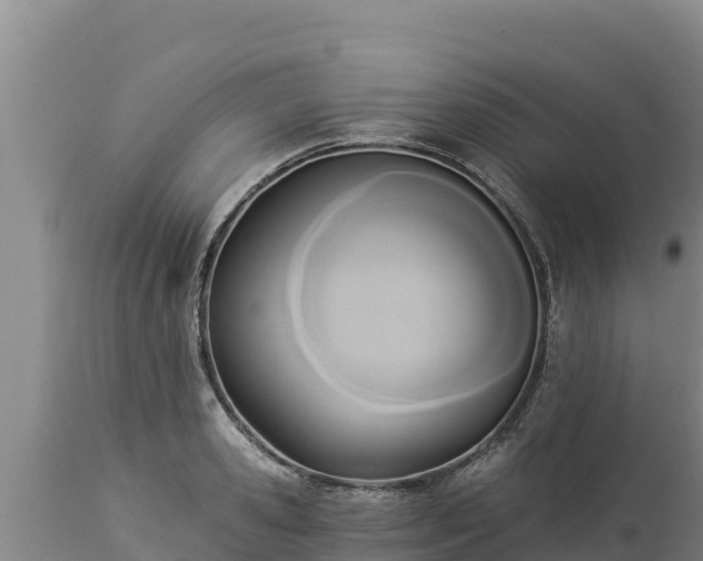 X0000112820941200908281527