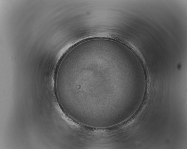 X0000112820944200908281527