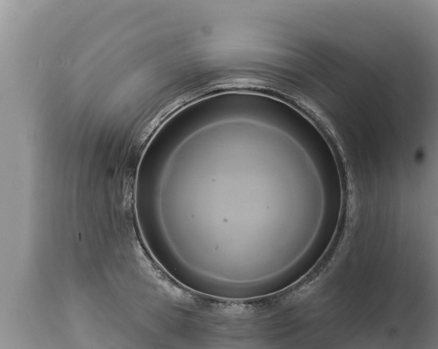X0000112820945200908281527