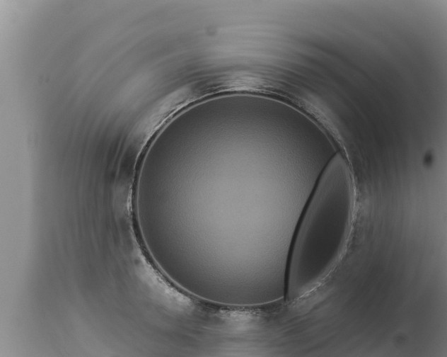 X0000112820946200908281527