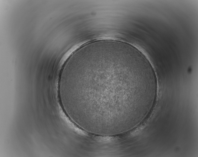 X0000112820949200908281527