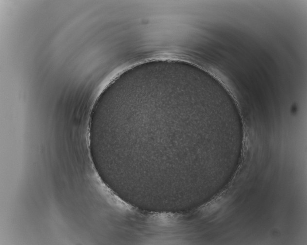 X0000112820950200908281527