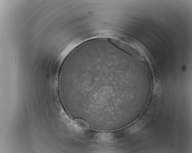 X0000112820952200908281527
